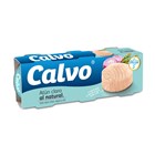 CALVO